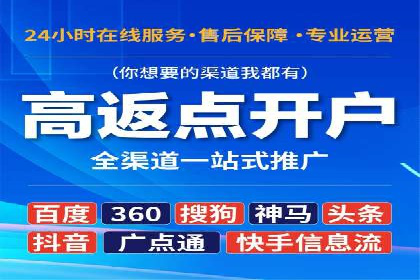 网络推广中的竞价广告：成功案例解析